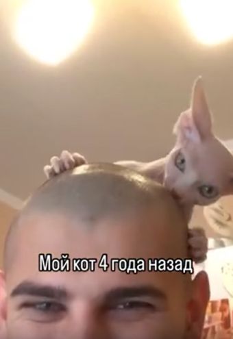 Дрессура
