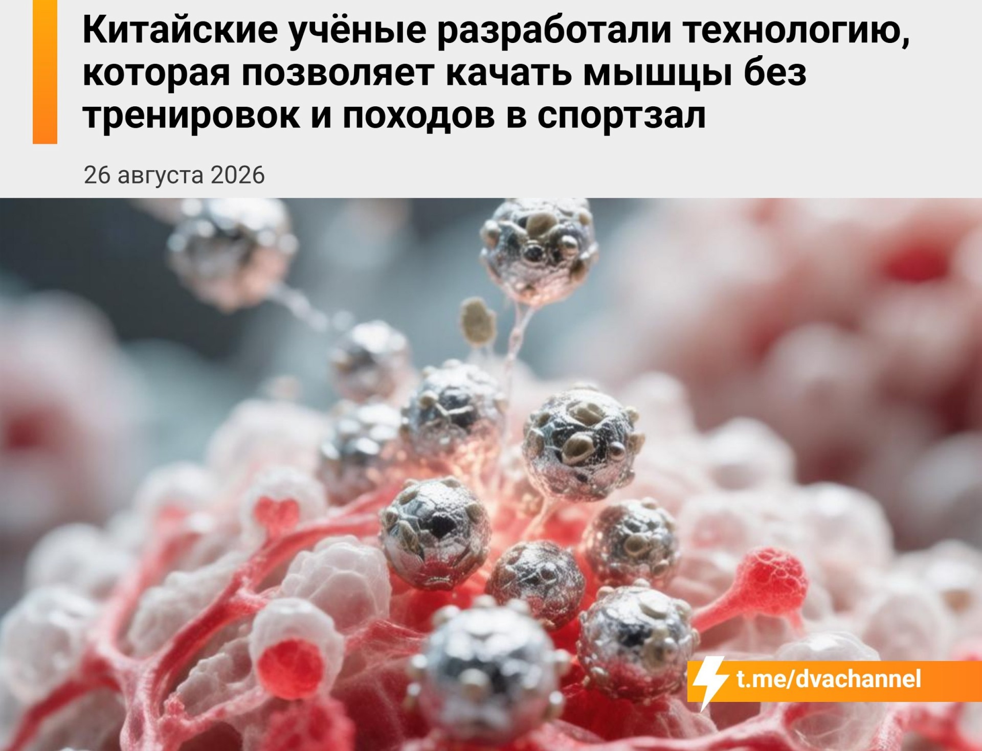 Китайские учёные создали клетки, наращивающие мышцы без тренировок