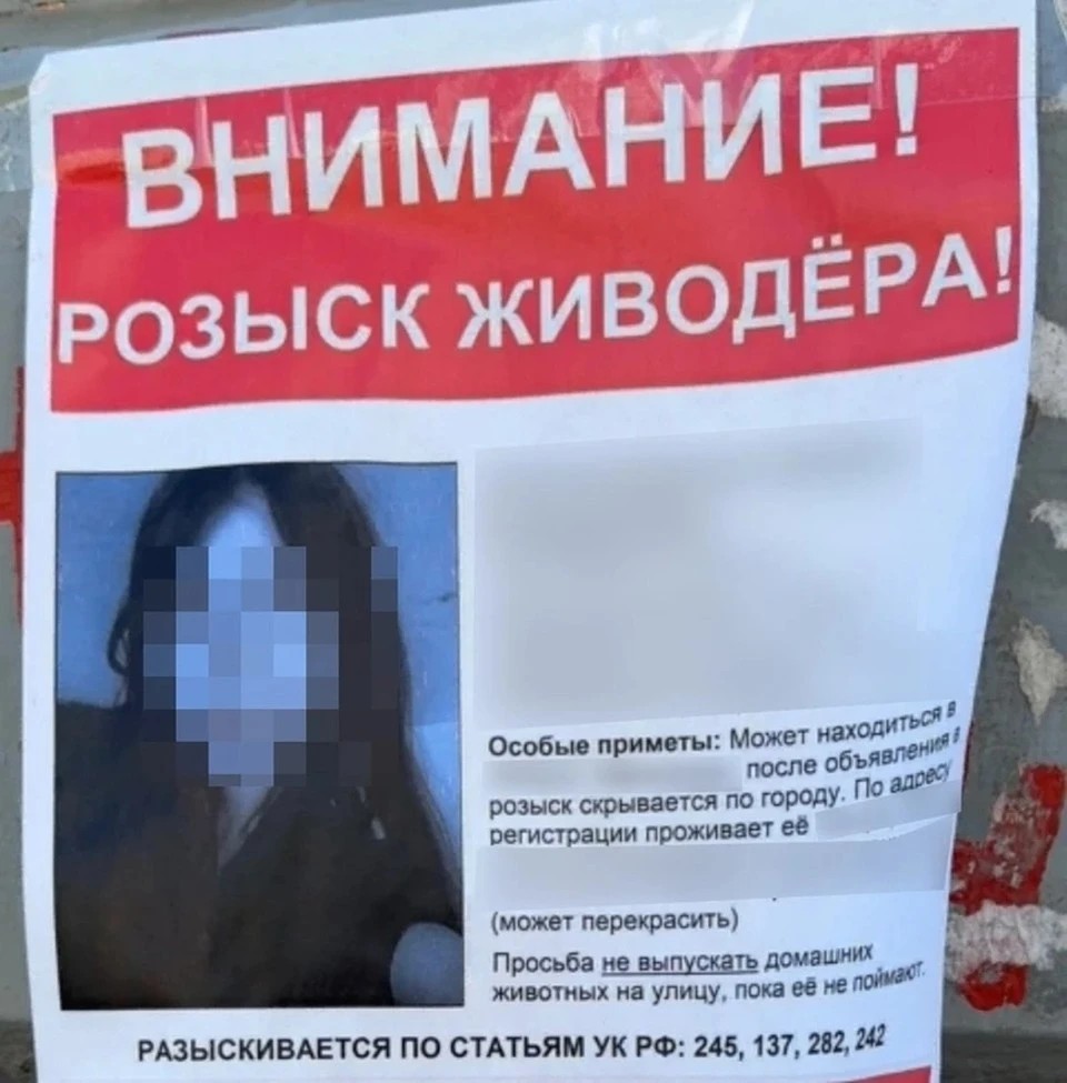 В Великом Новгороде вынесли первый в России приговор за кибербуллинг