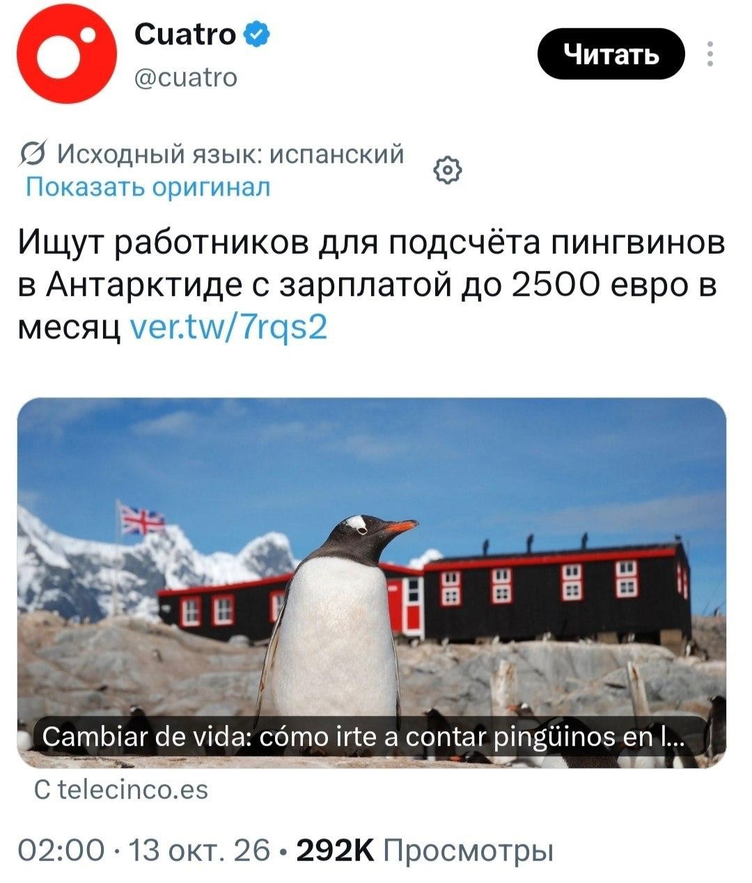 Центр ищет добровольцев для подсчёта пингвинов в Антарктиде за 230 тыс. рублей в месяц
