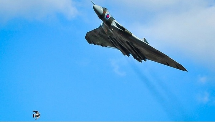 Беспощадное время, или 10 исчезающих вещей, которые остались в одном экземпляре Беспощадное время, или 10 исчезающих вещей, которые остались в одном экземпляре