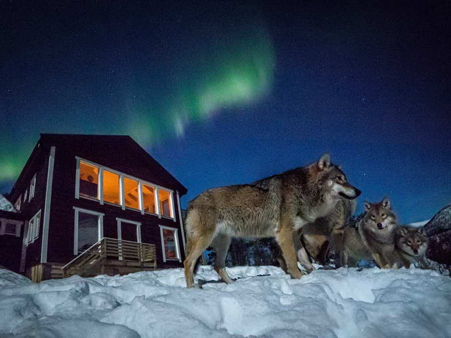 Оригинальные места в Европе для ночлега Оригинальные места в Европе для ночлега