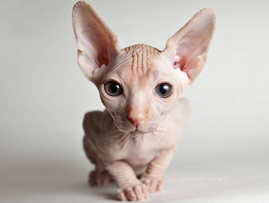 «Вашей маме зять не нужен?». Пользовательницы Интернета делятся самыми провальными «перлами», которые парни умудрились выдать им на первом свидании «Вашей маме зять не нужен?». Пользовательницы Интернета делятся самыми провальными «перлами», которые парни умудрились выдать им на первом свидании