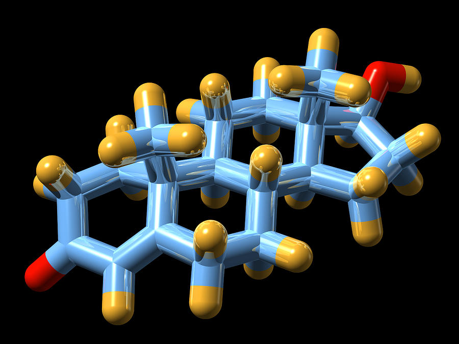 6 способов повысить тестостерон 6 способов повысить тестостерон