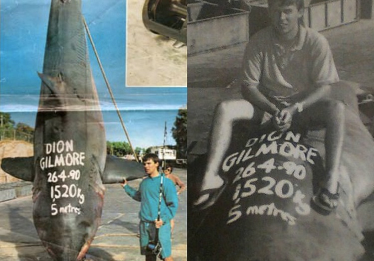 Самые большие пойманные в истории акулы Самые большие пойманные в истории акулы