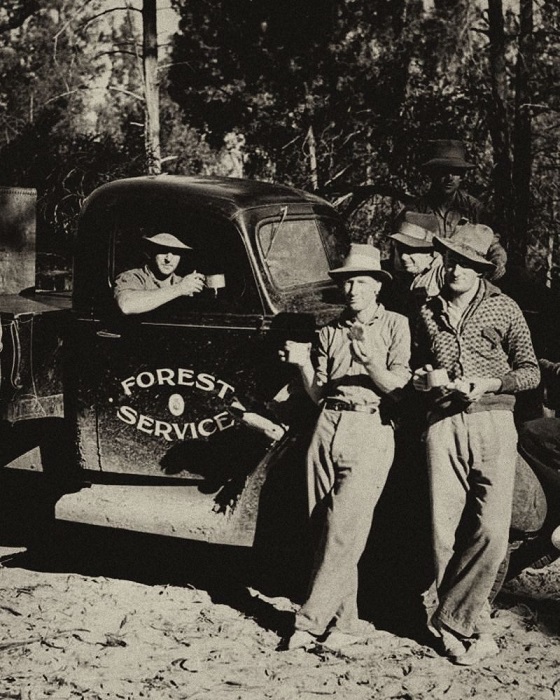 Чай: история путешествия по миру Чай: история путешествия по миру