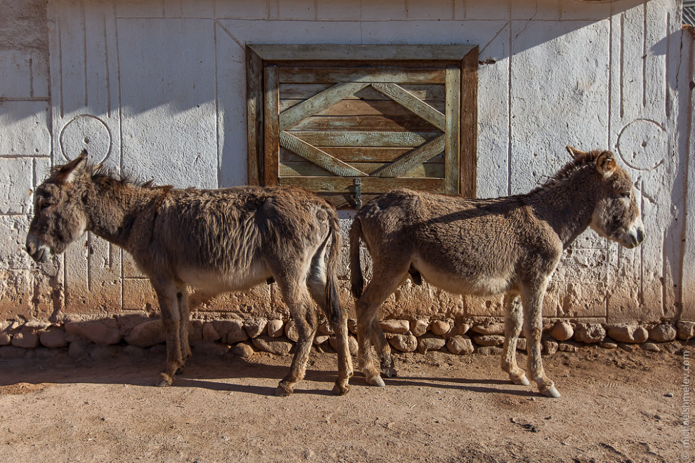 Пейзажи Киргизии Пейзажи Киргизии