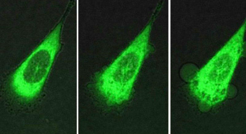 Научные открытия 2017 года