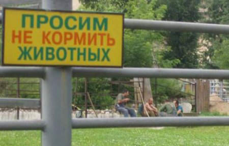 Баян. Часть 9