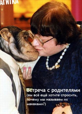 Смешные картинки.