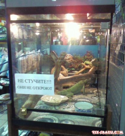 Смешные картинки 4.