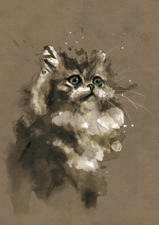 Иллюстратор Florian Nicolle.