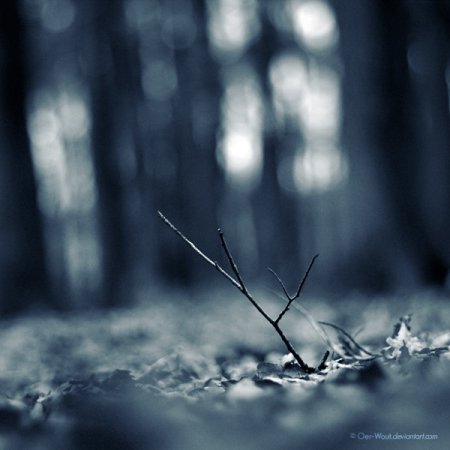 Фотограф Oer-Wout.