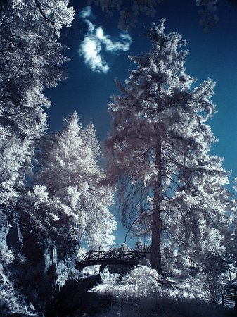 Фотограф Benn Murhaaya