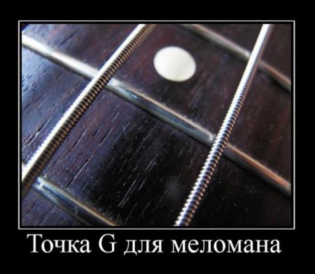 Демотиваторы ( 100 фото) 