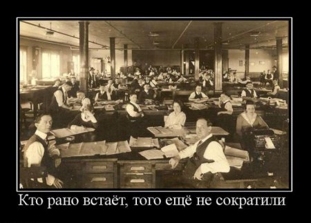 Демотиваторы ( 100 фото) 