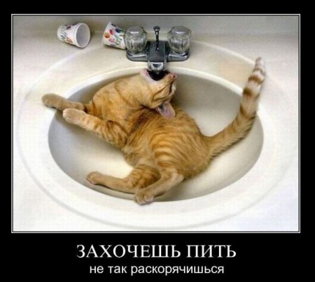 Демотиваторы ( 100 фото) 