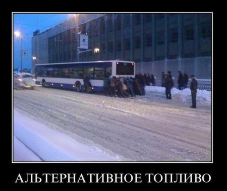 Демотиваторы ( 100 фото) 