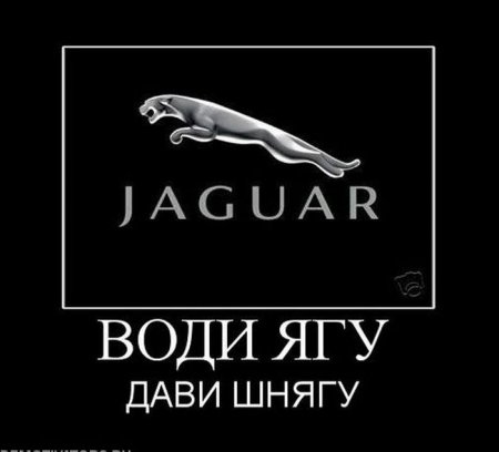 Демотиваторы ( 100 фото) 