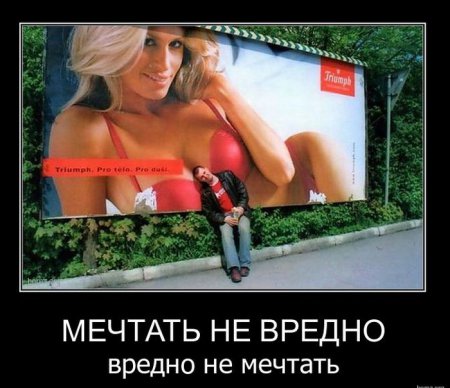 Демотиваторы ( 100 фото) 