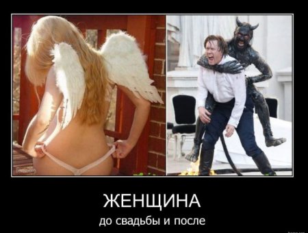 Демотиваторы ( 100 фото) 