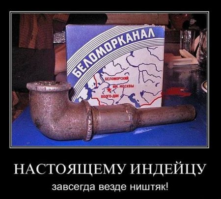 Демотиваторы ( 100 фото) 