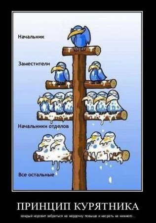 Демотиваторы ( 100 фото) 