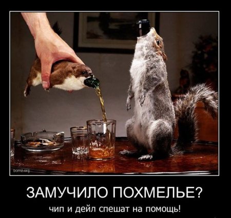 Демотиваторы ( 100 фото) 
