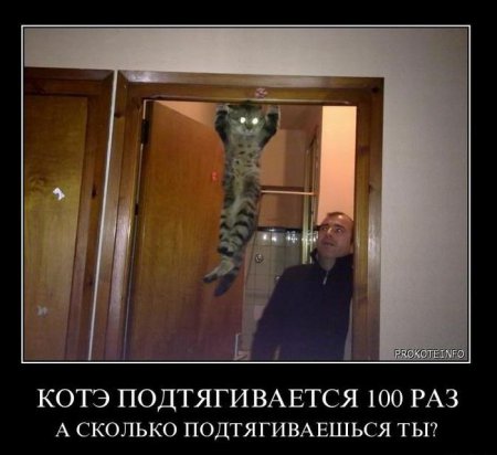 Демотиваторы ( 100 фото) 