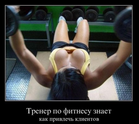 Демотиваторы ( 100 фото) 