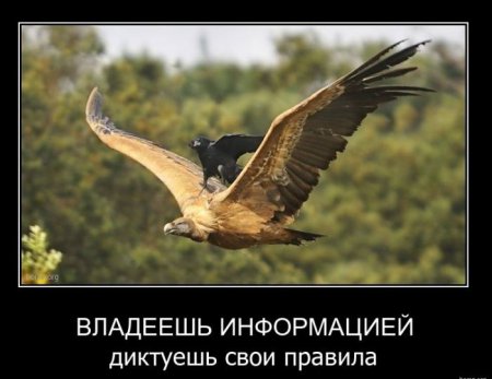 Демотиваторы ( 100 фото) 