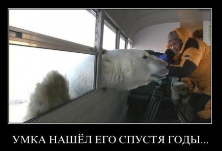 Демотиваторы ( 100 фото) 