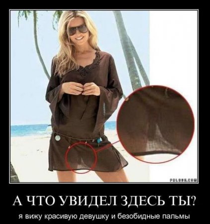 Демотиваторы ( 100 фото) 
