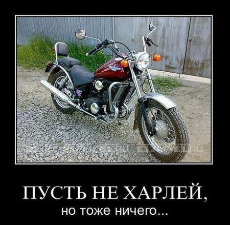 Демотиваторы ( 100 фото) 