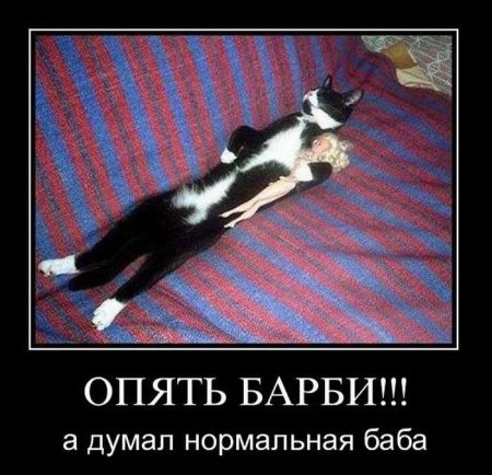 Демотиваторы ( 100 фото) 