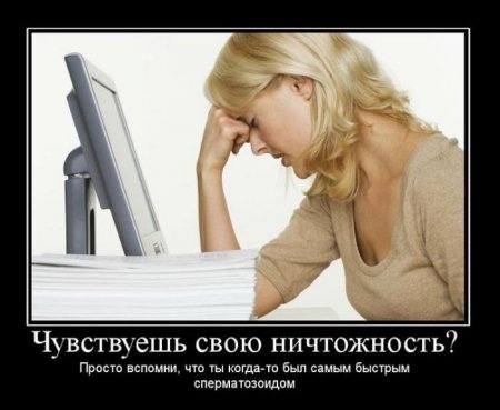 Демотиваторы ( 100 фото) 