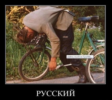 Демотиваторы ( 100 фото) 