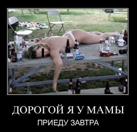 Демотиваторы ( 100 фото) 