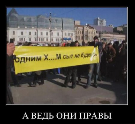 Демотиваторы ( 100 фото) 