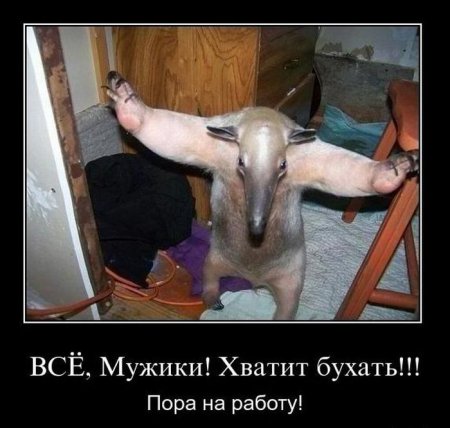 Демотиваторы ( 100 фото) 
