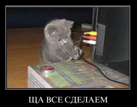 Демотиваторы ( 100 фото) 