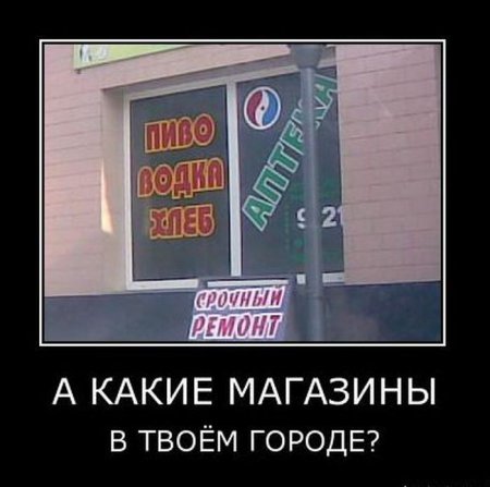 Демотиваторы ( 100 фото) 