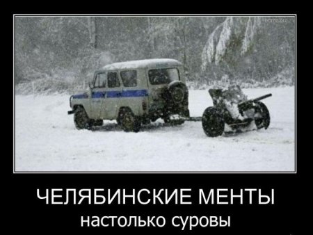 Демотиваторы ( 100 фото) 