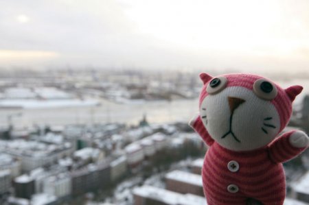 Большое европейское путешествие Кота