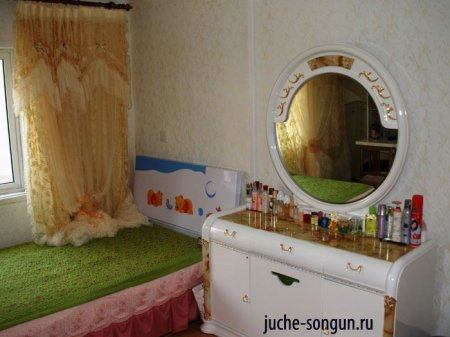 Как живут  в Северной Корее (24 фото)