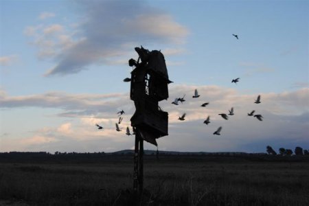 По следам войны (21 фото)