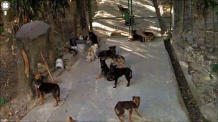 Кадры найденные на Google Street View (58 фото)