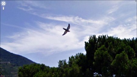 Кадры найденные на Google Street View (58 фото)