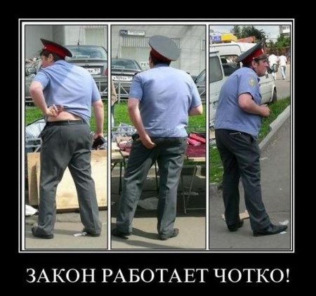 Демотиваторы (44 фото)