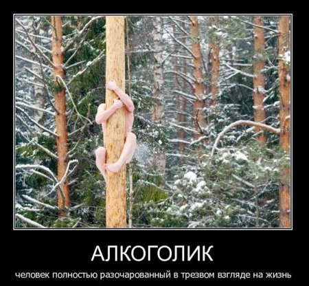 Демотиваторы (44 фото)